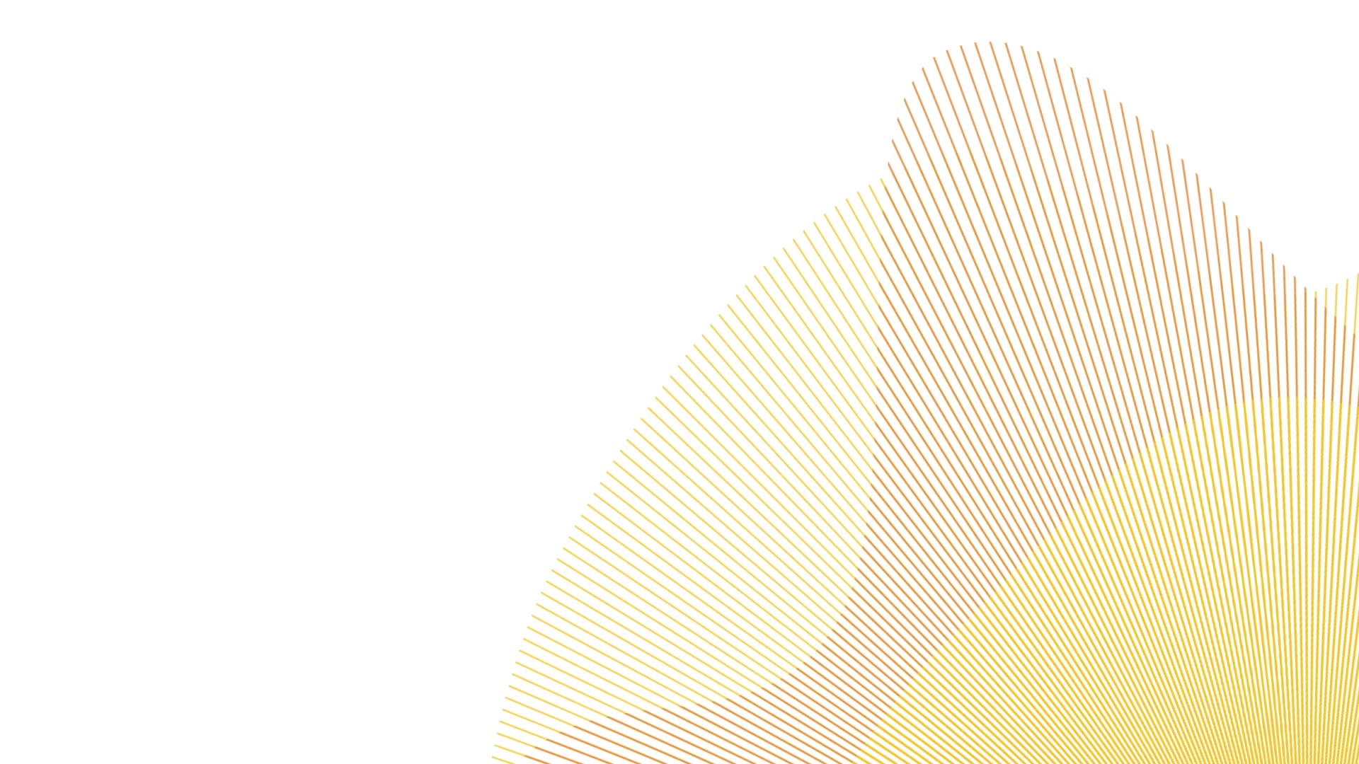 novalis-key-visual-mp4