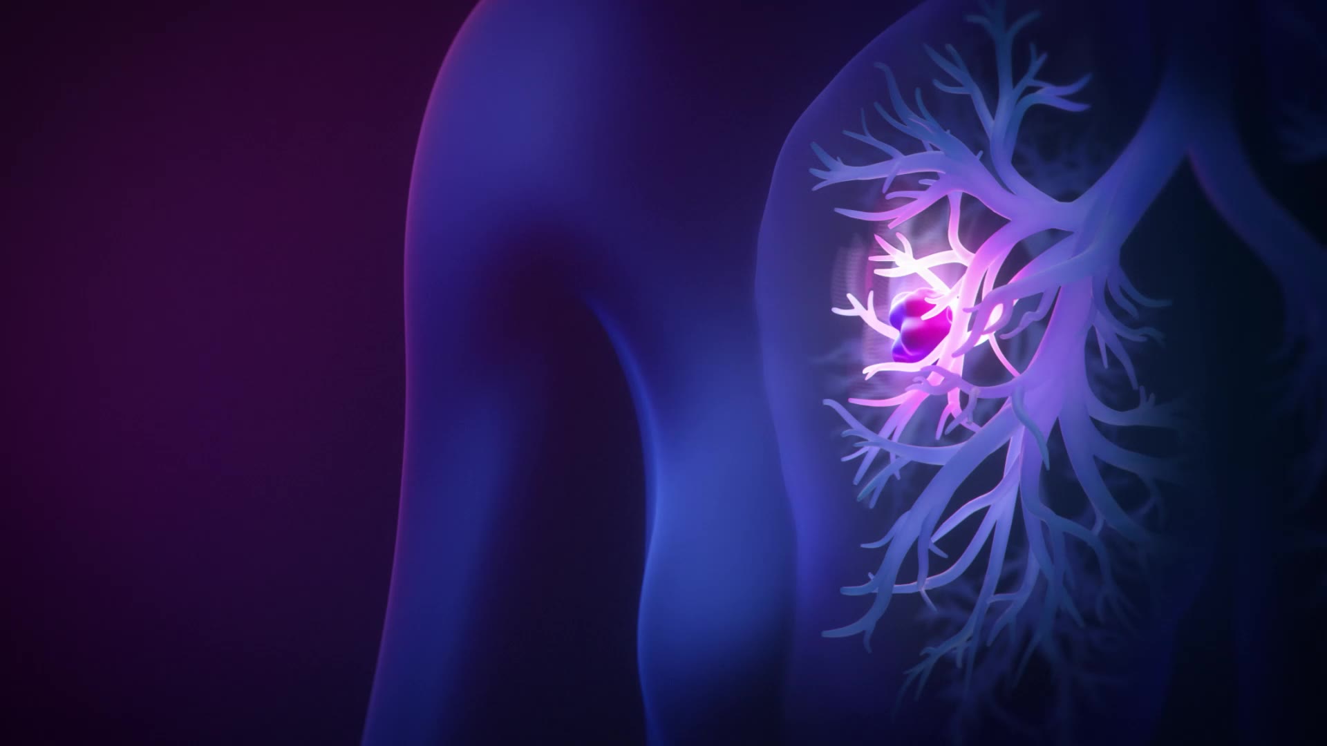 lung-header-loop-mp4